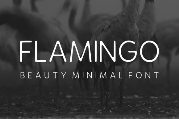 Flamingo Font - Featured Image