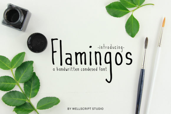 Flamingos Font - Featured Image