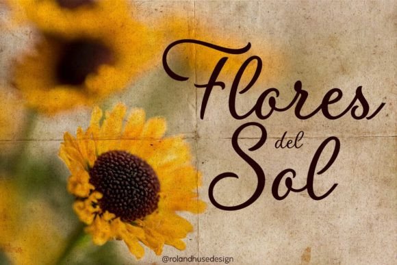 Flores Del Sol Font - Featured Image