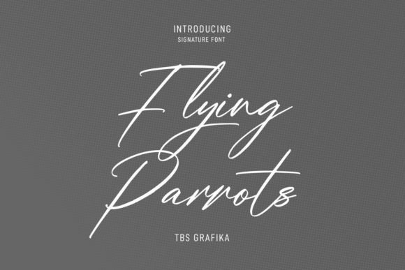 Flying Parrots Font - Featured Image