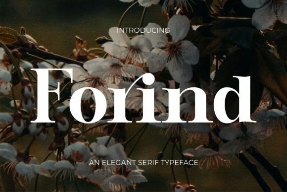 Forind Font - Featured Image