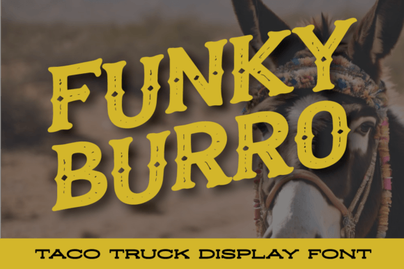 Funky Burro Font - Featured Image