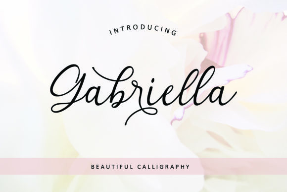Gabriella Font - Featured Image