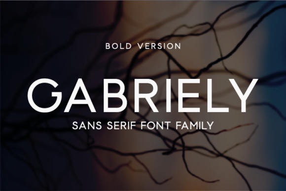 Gabriely Bold Font - Featured Image