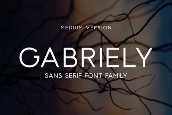 Gabriely Medium Font - Featured Image