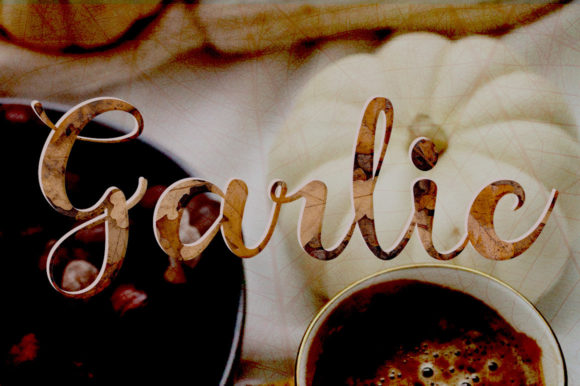 Garlic Font - Featured Image