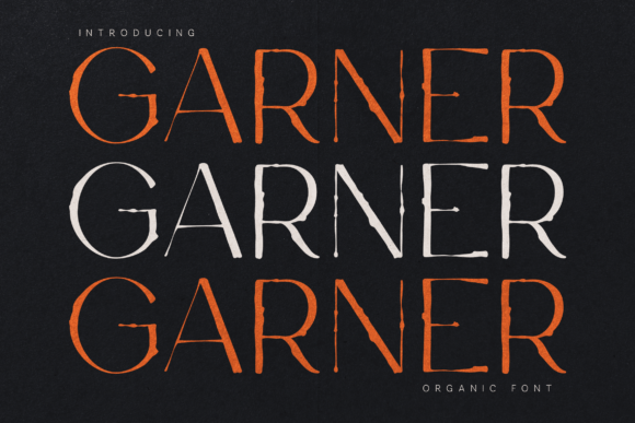 Garner Font - Featured Image