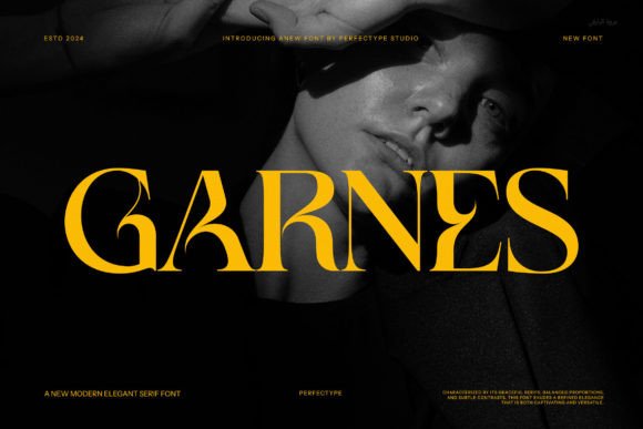Garnes Font - Featured Image