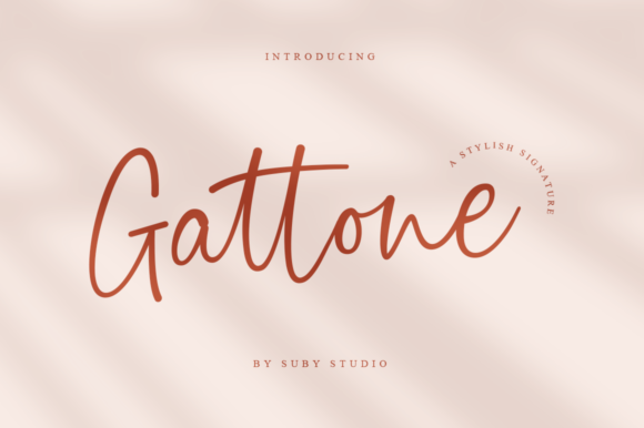 Gattone Font - Featured Image