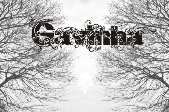 Gavinha Font - Featured Image