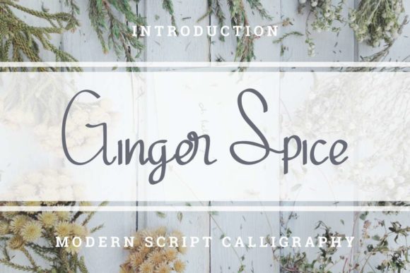 Ginger Spice Font - Featured Image