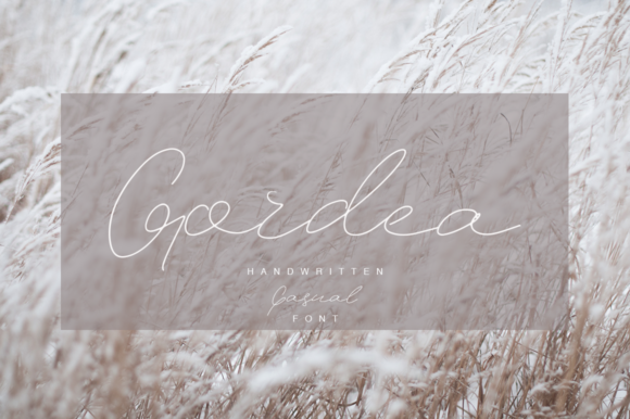 Gordea Font - Featured Image