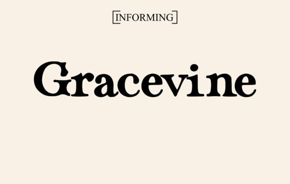 Gracevine Font - Featured Image