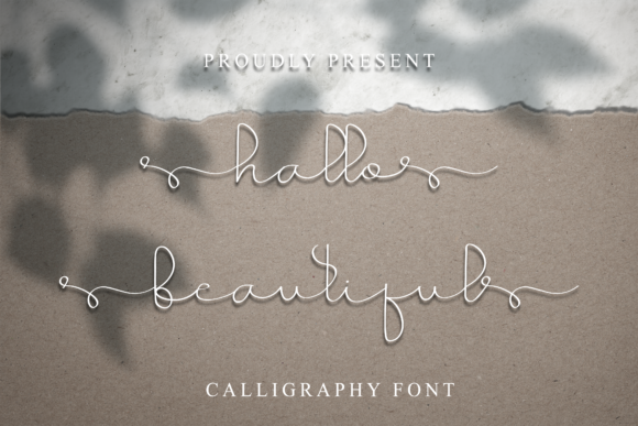 Hallo Beautiful Font - Featured Image