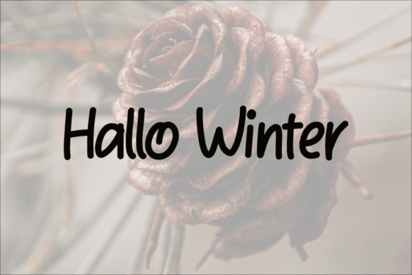 Hallo Winter Font - Featured Image