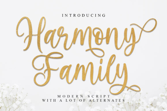 Harmony Family Font - Featured Image