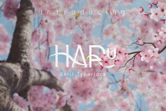 Haru Font - Featured Image