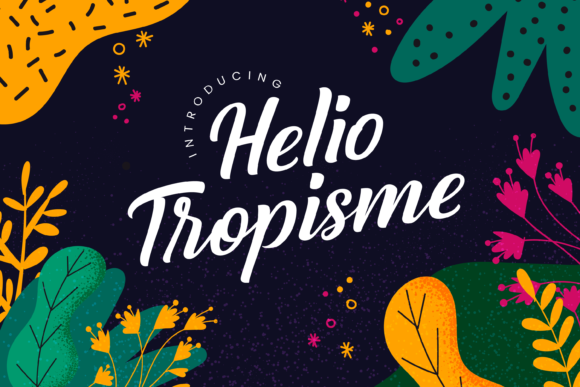 Helio Tropisme Font - Featured Image